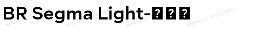 BR Segma Light字体转换
